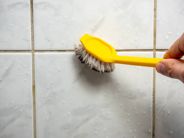 Best Bathroom Mold Remediation in Little Cypress, TX