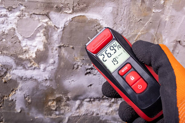 Best HVAC Mold Remediation in Little Cypress, TX