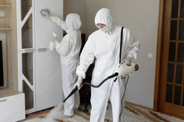 Best Residential Mold Remediation in Little Cypress, TX